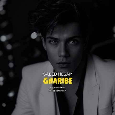 دانلود آهنگ سعید حسام غریبه